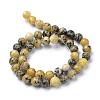 Natural Yellow Turquoise(Jasper) Beads Strands G-R345-6mm-44-2