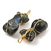 Natural Labradorite Pendants G-K338-30G-02-2