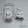 Brass Cubic Zirconia Hoop Earrings WGD6818-05-2