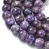 Natural Charoite Beads Strands G-C270-O02-10-4