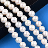 Natural Cultured Freshwater Pearl Beads Strands PEAR-N016-09C-2