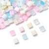 100Pcs 10 Styles 2-Hole Glass Seed Beads SEED-FS0001-45-2