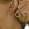 304 Stainless Steel Hoop Earrings FD1814-1-3