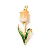 Brass with Enamel Pendants KK-CBA2F11-06G-2