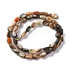 Natural Paua Shell Beads Strands BSHE-B007-06-2