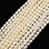 Grade AA Natural Cultured Freshwater Pearl Beads Strands X-PEAR-L001-A-11-1