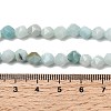 Natural Flower Amazonite Beads Strands G-Z119-A09-01-6