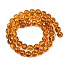 Natural Amber Beads Strands G-L095-B01-8mm-02-5