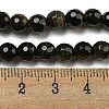 Natural Golden Sheen Obsidian Beads Strands G-E571-A01-01-5