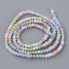 Frosted Glass Beads Strands X-FGLA-T002-10A-2