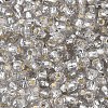 Silver Lined Glass Seed Beads SEED-T007-18A-02-3