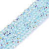 Transparent Glass Beads Strands EGLA-N028-01A-A06-1