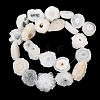 Natural Sunflower Druzy Agate Slice Beads Strands G-K381-A01-2