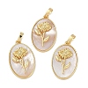 Rack Plating Brass Pave Shell Oval Pendants KK-U032-92G-05-1