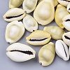 Natural Cowrie Shell Beads SSHEL-N034-A-26-1