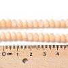 Natural Freshwater Shell Beads Strands SSHEL-C013-07H-2