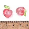 Transparent Acrylic Pendants AC-CBA97EB-05B-3