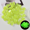 Resin Luminous Glow in the Dark Pebbles Stone PW-WG30806-11-1