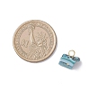 Dyed Natural Shell Chip Charms PALLOY-JF04556-3