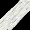 Natural Trochus Shell Beads Strands X-BSHE-Z003-18-1