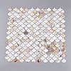 Natural Freshwater Shell Mosaic Tile Cabochons SHEL-Q029-03-3