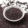 MIYUKI Round Rocailles Beads SEED-G008-RR0497-2