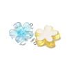 Transparent Resin Pendants RESI-A046-05B-3