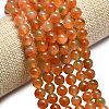 Natural Malaysia Jade Beads Strands G-L645-C01-8mm-29-3