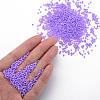 13/0 Glass Seed Beads SEED-T005-14A-A17-5