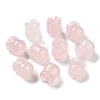 Natural Rose Quartz Beads G-G109-01F-1