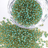 12/0 Grade A Round Glass Seed Beads SEED-N001-D-225-1