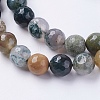 Natural Indian Agate Beads Strands G-G542-10mm-19-3