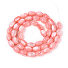 Natural Trochus Shell Beads Strands SHEL-K006-19-01E-2