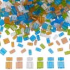 300Pcs 12 Style 2-Hole Glass Seed Beads SEED-AR0001-32-1