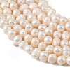 Natural Cultured Freshwater Pearl Beads Strands PEAR-L034-16B-3