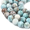 Natural Larimar Beads Strands G-C264-A01-12mm-4