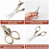 2Pcs 2 Style Stainless Steel Scissors TOOL-SC0001-32-4