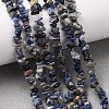 Natural Sodalite Chips Beads Strands X-F024-5