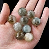 Natural Lodolite Quartz Ball Ornaments PW-WG2E4C7-02-1