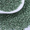 MIYUKI Delica Beads SEED-MY11-DB0414-1