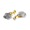 Natural Labradorite Charms G-N326-142-06-3