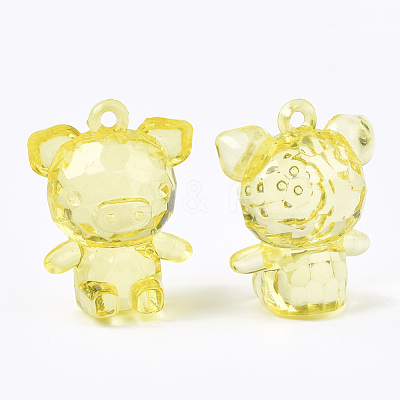 Transparent Acrylic Pendants TACR-S133-118-1