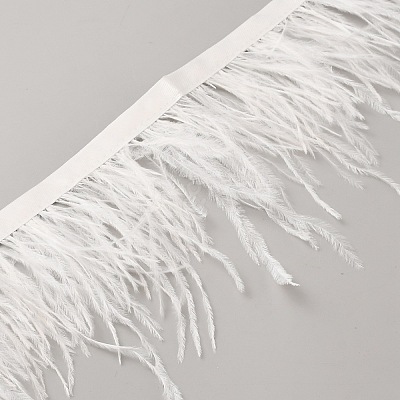 Fashion Ostrich Feather Trimming DIY-WH20012-08B-1