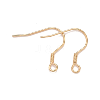 304 Stainless Steel Earrings Hooks STAS-P227-06G-1