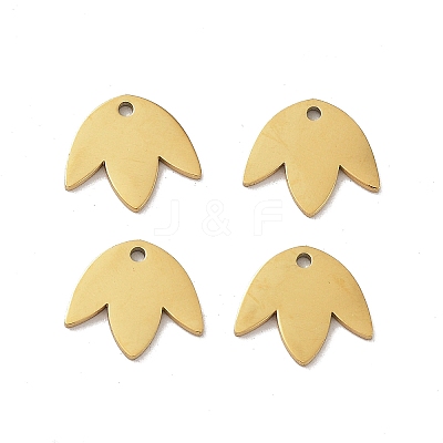 304 Stainless Steel Charms STAS-R226-03G-1