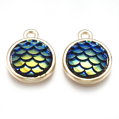 Alloy Resin Charms PALLOY-T056-24A-1