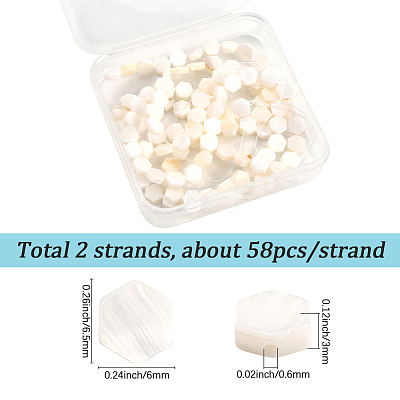 2 Strands Natural Freshwater Shell Beads Strands SSHEL-SC0001-36A-1