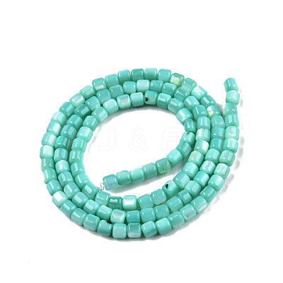 Natural Freshwater Shell Beads Strands SHEL-N003-33-A04-1