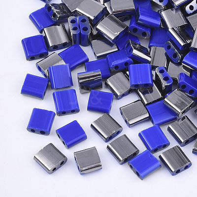FGB 2-Hole Glass Seed Beads SEED-S031-L-048-H-1