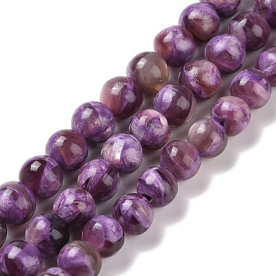 Natural Lepidolite/Purple Mica Stone Beads Strands G-G925-03C-1